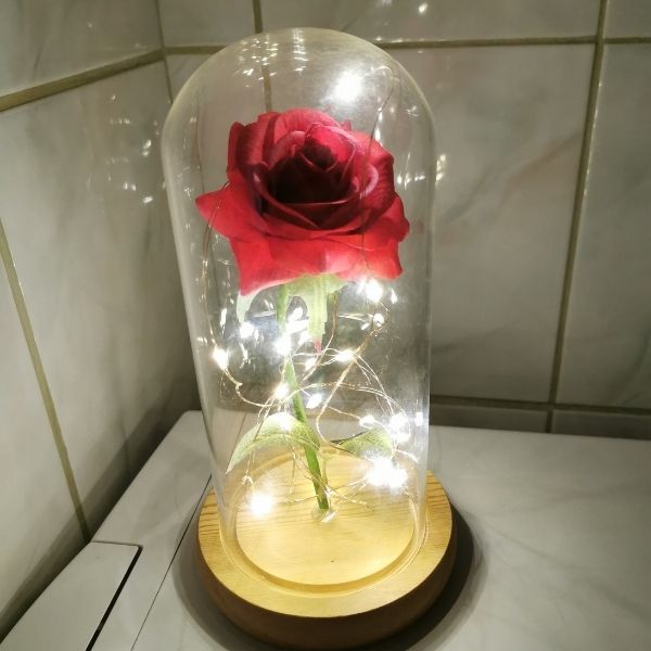 Fairy Rose : Rose Eternelle sous cloche – Fairy-Roses : The Eternal Rose